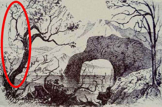 Правилният отговор Правилният отговор: Силуетът на човека, облегнат на дърво