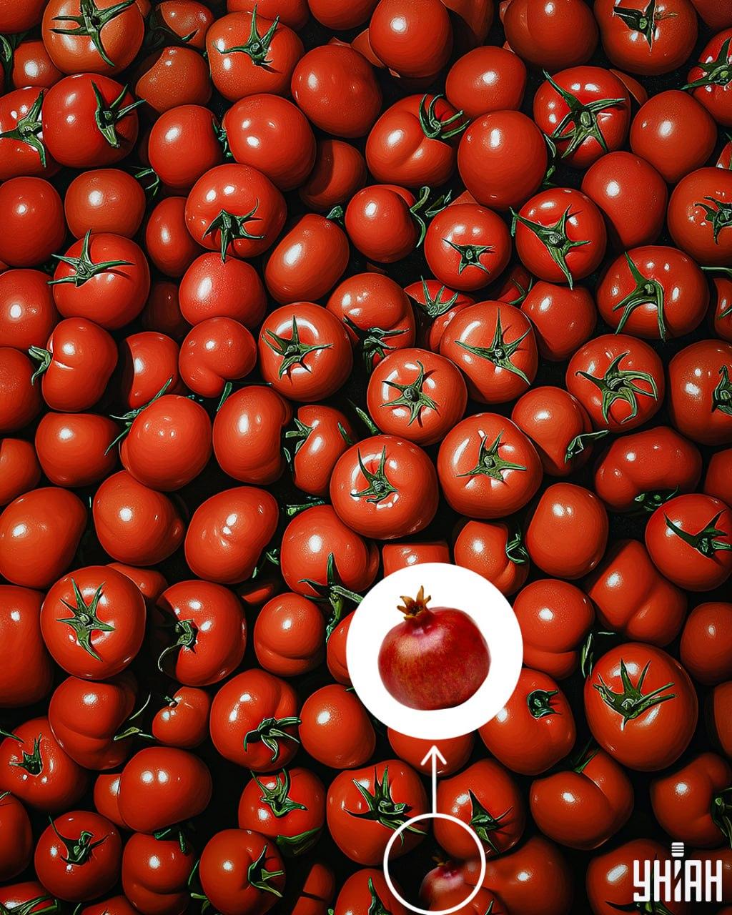 Решение: Нарът е в долния десен ъгъл