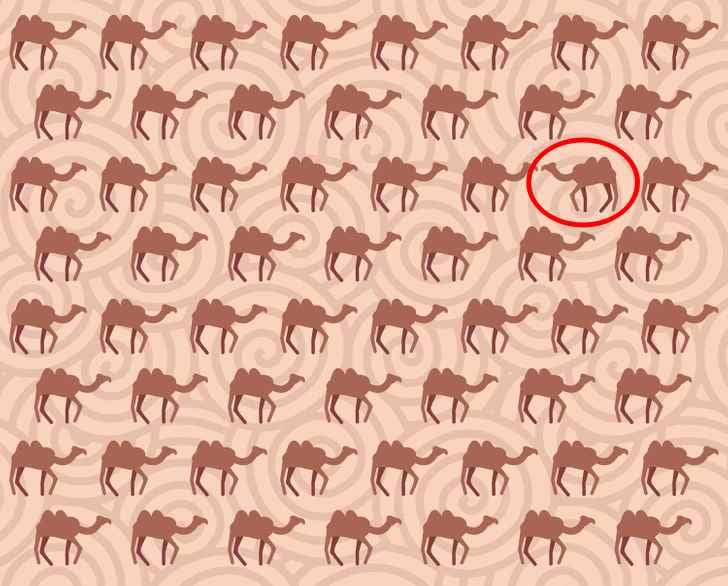 Енигма Енигма