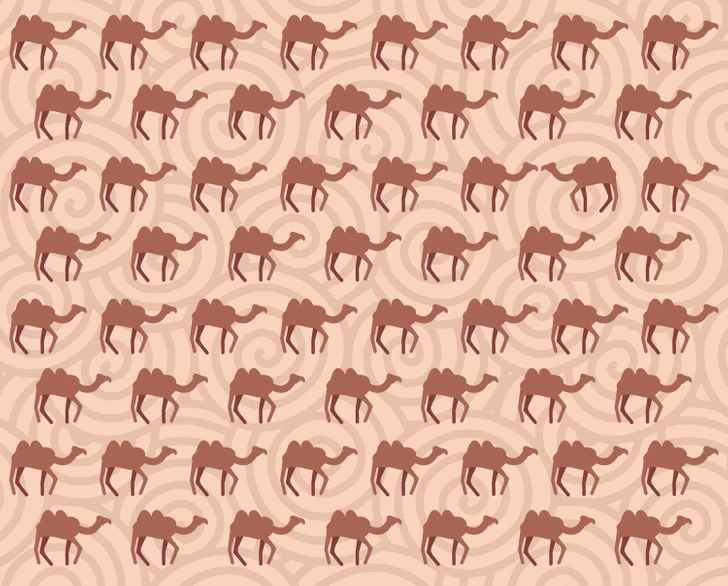 Енигма Загадка