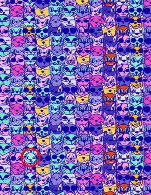 Ключ котка куче Ключ куче котка куче