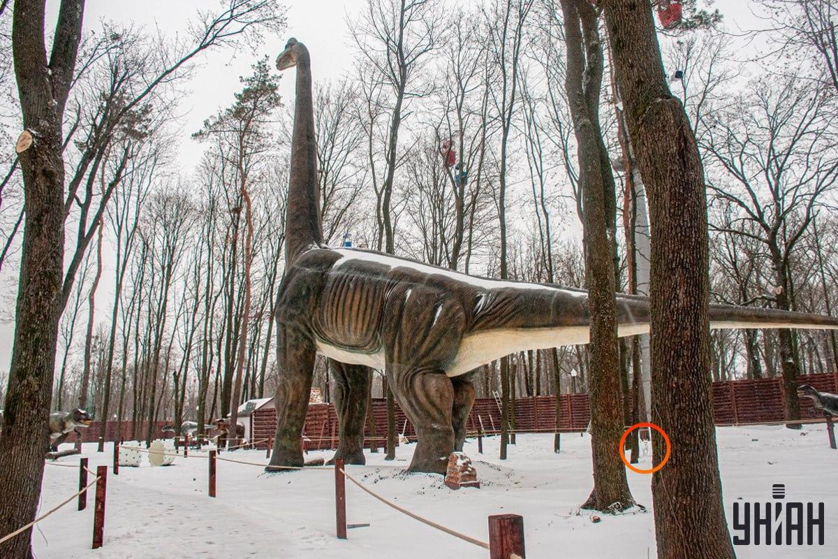 Кучето беше близо до долния ляв ъгъл на снимката / колаж на УНИАН Кучето е близо до долния ляв ъгъл на снимката / колаж на УНИАН