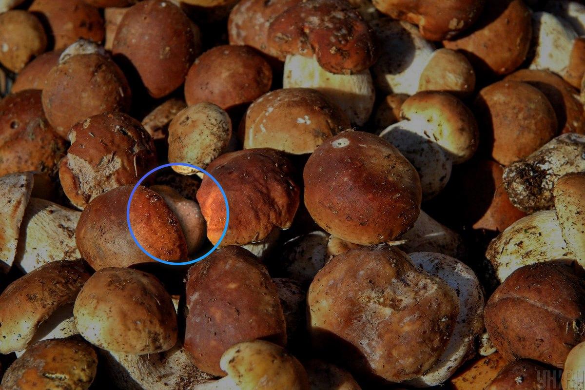 Камъкът беше почти в центъра на оптичната илюзия / колаж Moje Камъкът се намираше почти в центъра на оптичната илюзия / колаж Moje