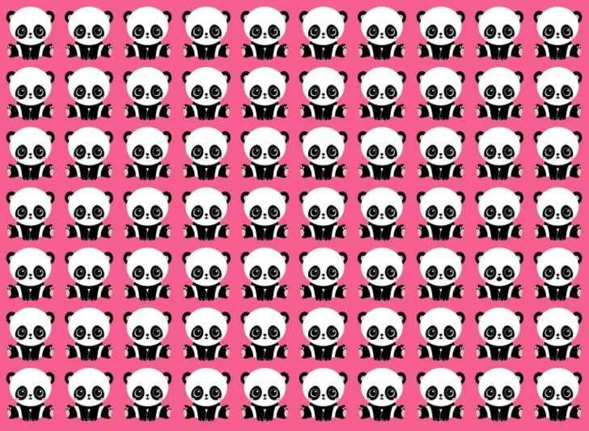 Енигма Загадка