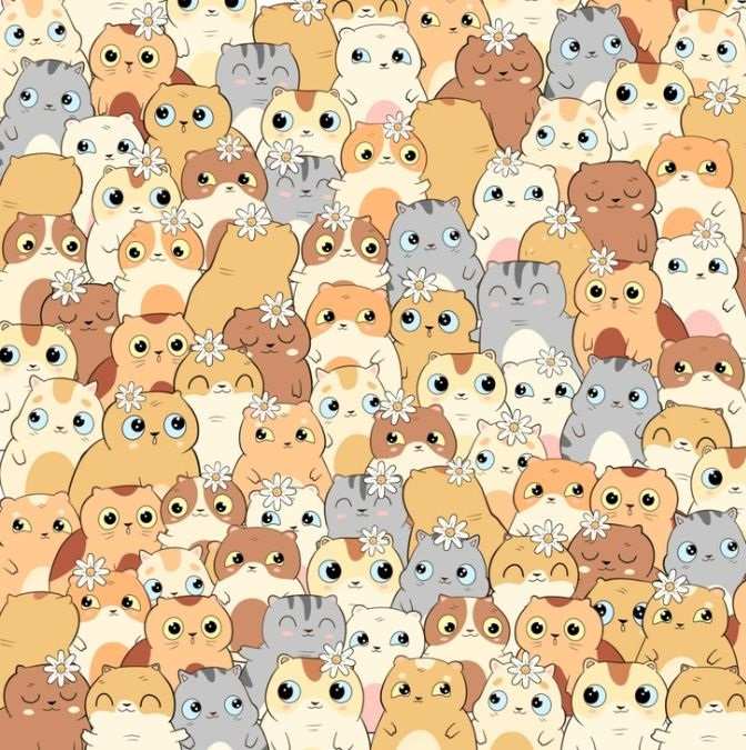 Разполагате само с 11 секунди: само най-внимателните ще открият картофите сред котките Разполагате само с 11 секунди: само най-наблюдателните ще открият картофа сред котките