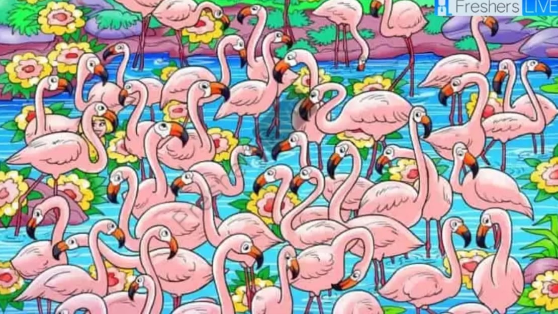 Открийте момичето сред фламингото за 8 секунди: този пъзел ще ви накара да се замислите Открийте момичето сред фламингото за 8 секунди: този пъзел ще ви накара да се замислите
