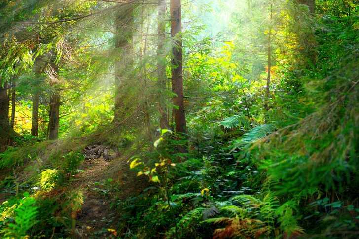 Загадка Загадка