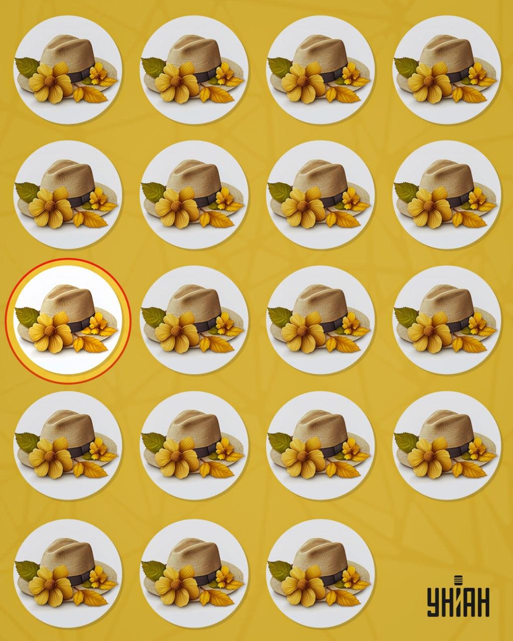 Странната шапка се отличаваше от останалите с малък детайл / колаж Moje Странната шапка се отличаваше от останалите по един малък детайл / колаж на УНИАН