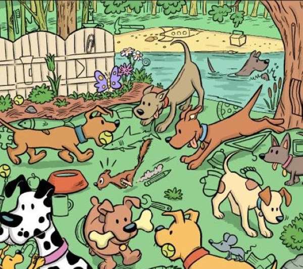 Загадка Загадка