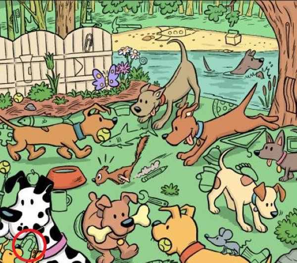 Clue Разгадка