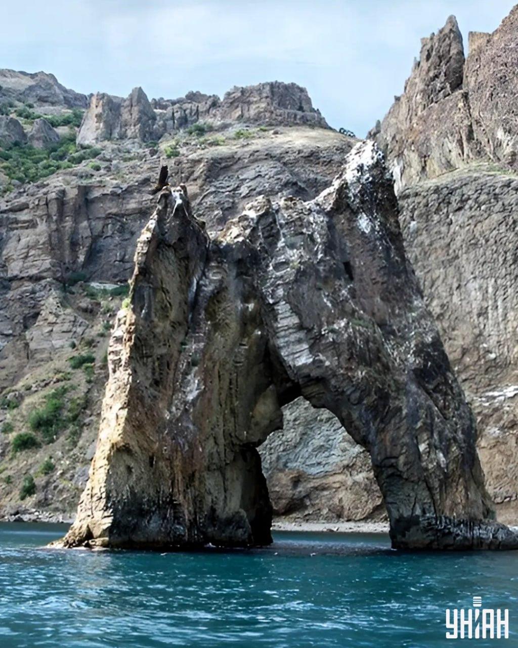 Отнема по-малко от 10 секунди, за да откриете орела в картината пъзел / колаж със снимка на Moje