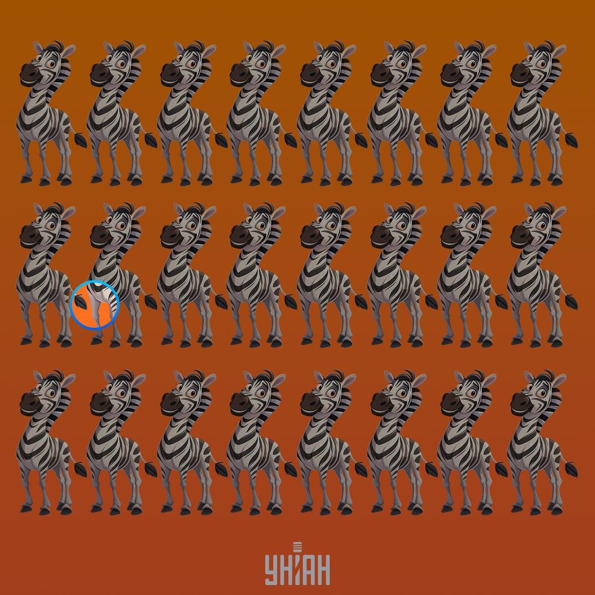 Една странна зебра е на втория ред отгоре / колаж на УНИАН