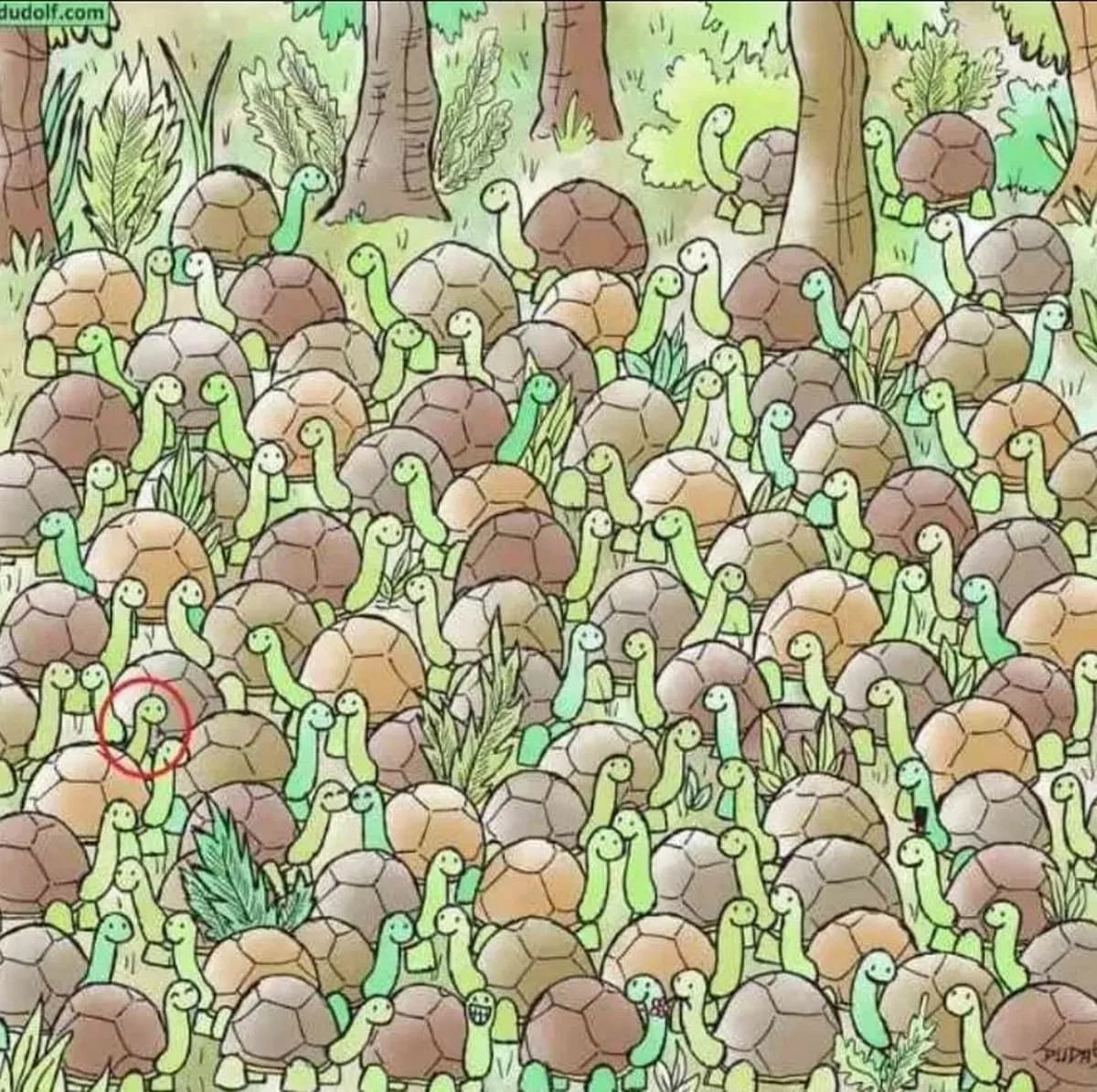 Правилният отговор на пъзела Правилният отговор на пъзела