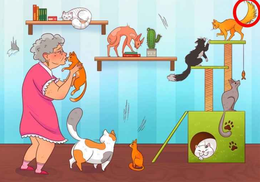 Brightside снимка Снимка: Brightside