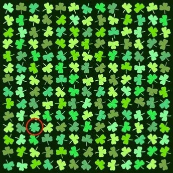 Правилният отговор на пъзела Правилният отговор на пъзела