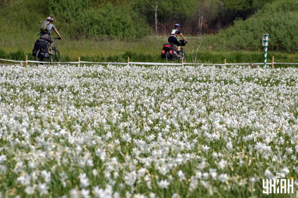 Снимка на парк, където е скрит щъркел