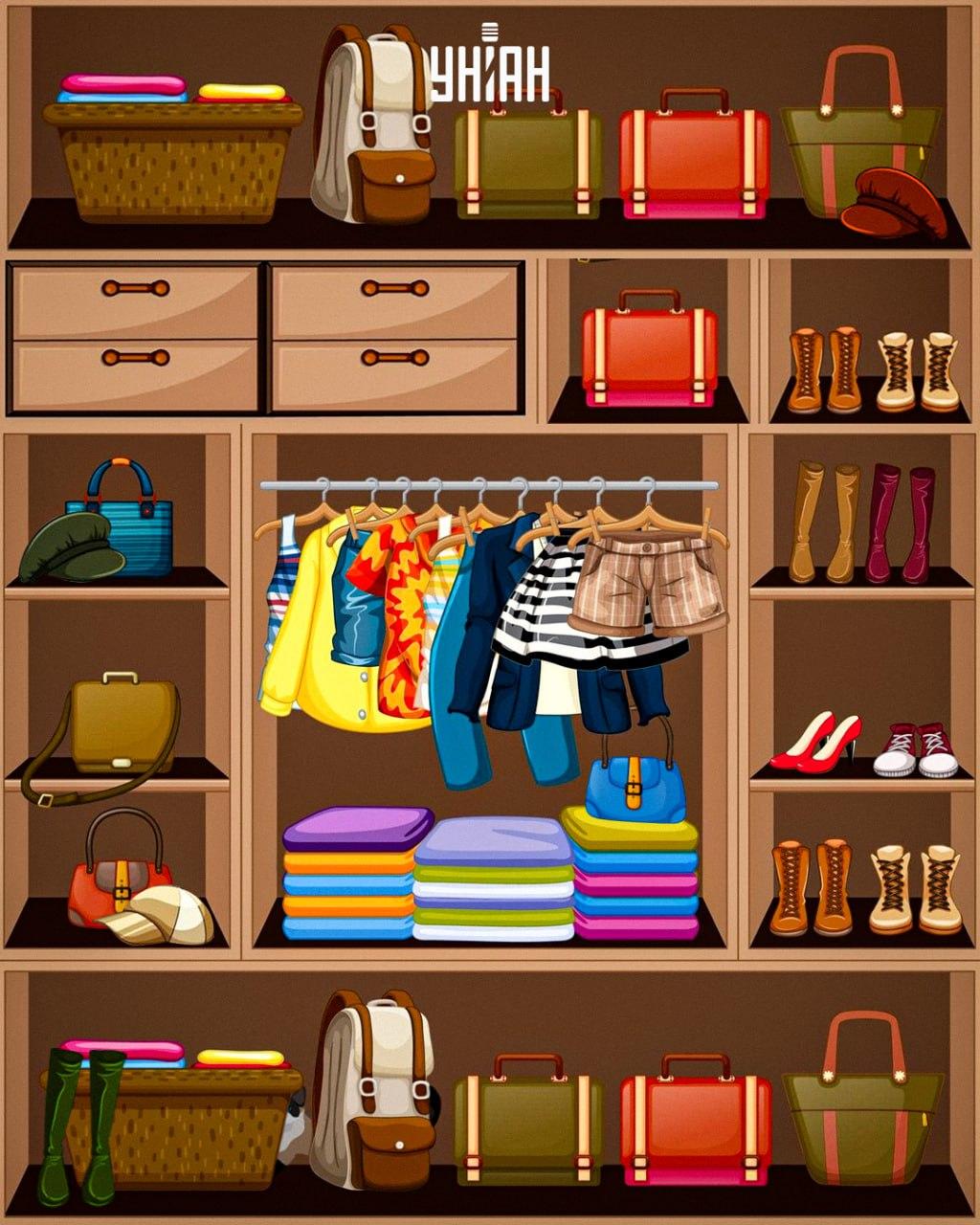 Трябва да намерите хитра котка / колаж Moje