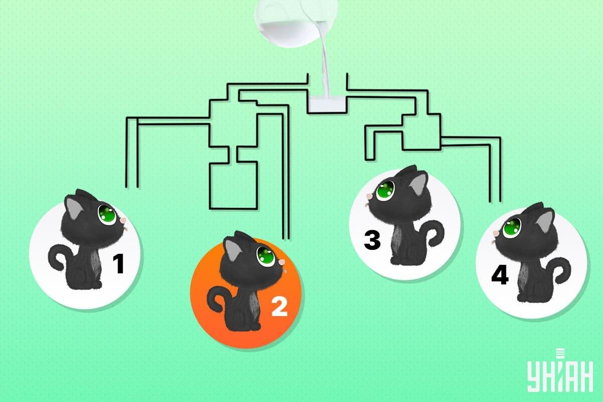 Котаракът на късмета беше номер 2 / колаж Moje