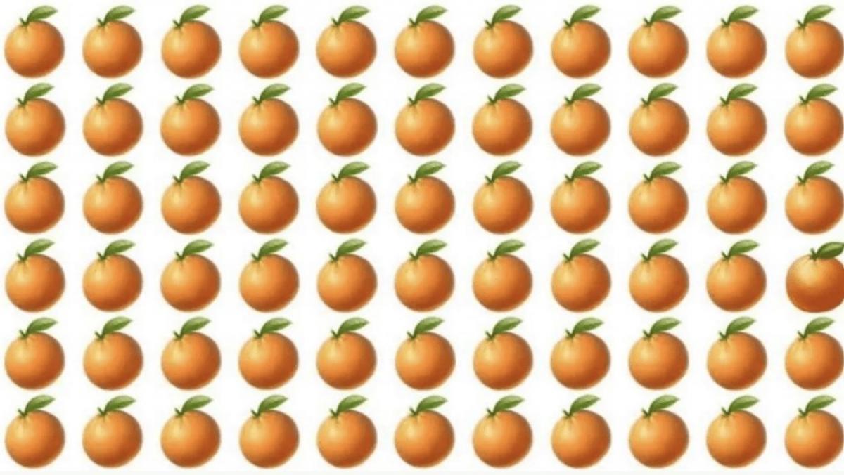 Загадка Загадка