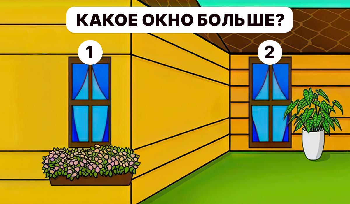 Необходимо е да се разбере кой прозорец е по-голям / колаж Moje