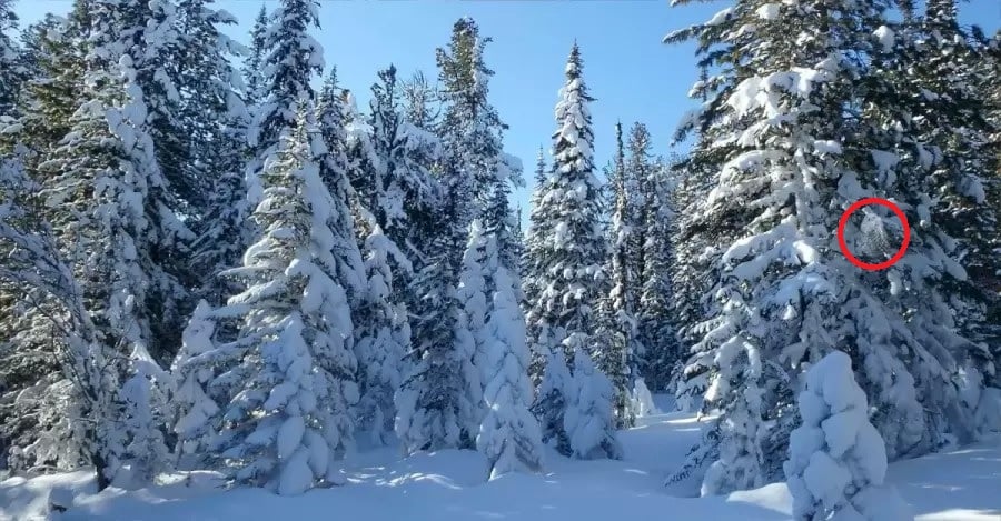 Оптична илюзия Оптична илюзия