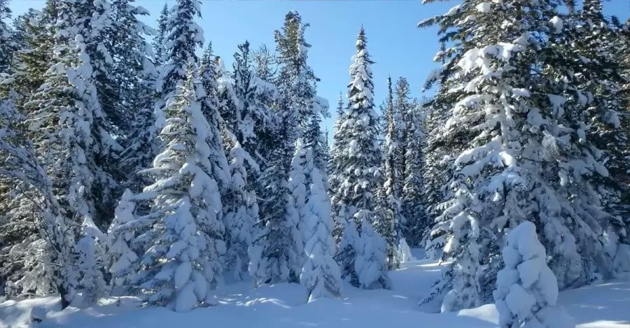 Оптична илюзия Оптична илюзия