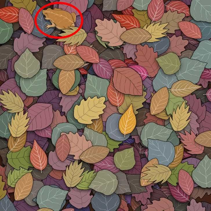 пъзел Пъзел