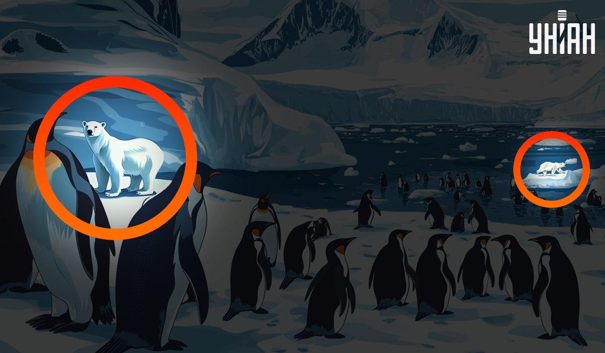 Отговор / Moje