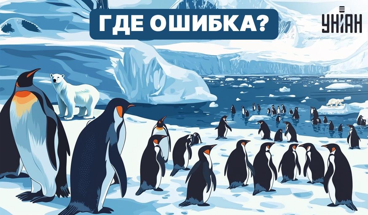 Можете ли да разберете какво не е наред на картинката? / Moje