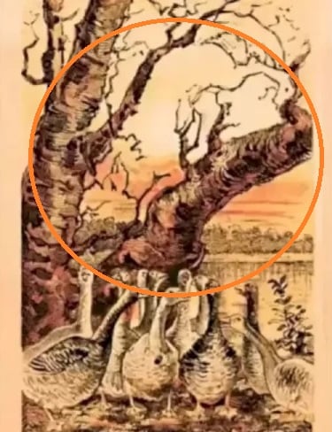 Оптична илюзия Оптична илюзия