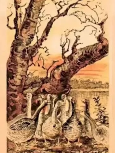 Оптична илюзия Оптична илюзия