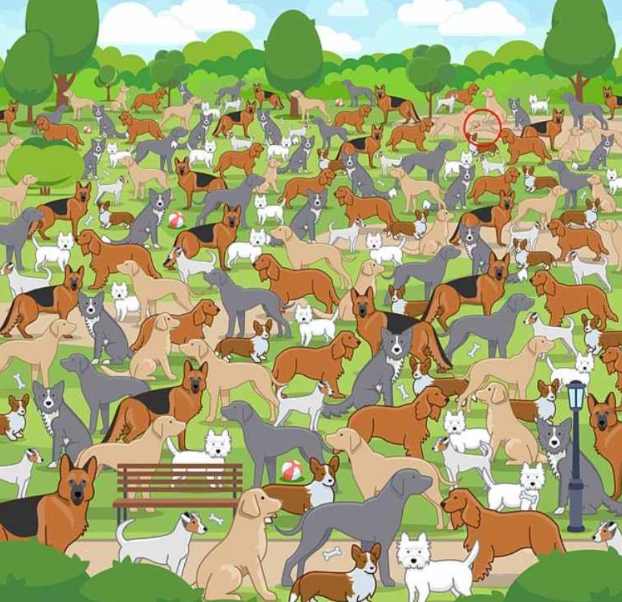 Снимка на Jagranjosh