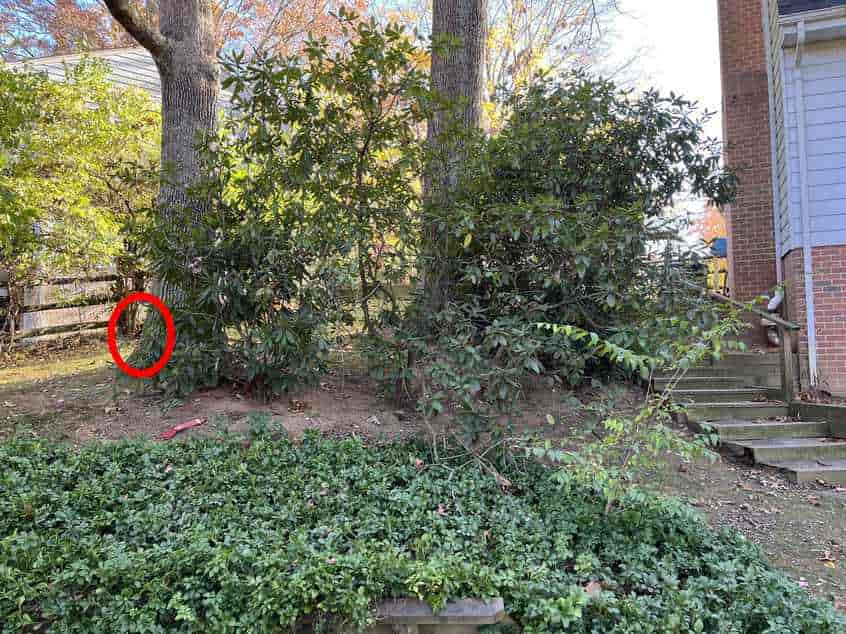 Свръхсложна оптична илюзия: само истински детектив ще намери куче за 10 секунди Супер сложна оптична илюзия: само истински детектив може да открие кучето за 10 секунди