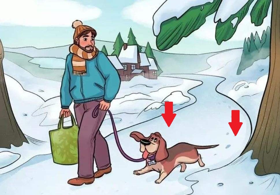 Енигма Енигма