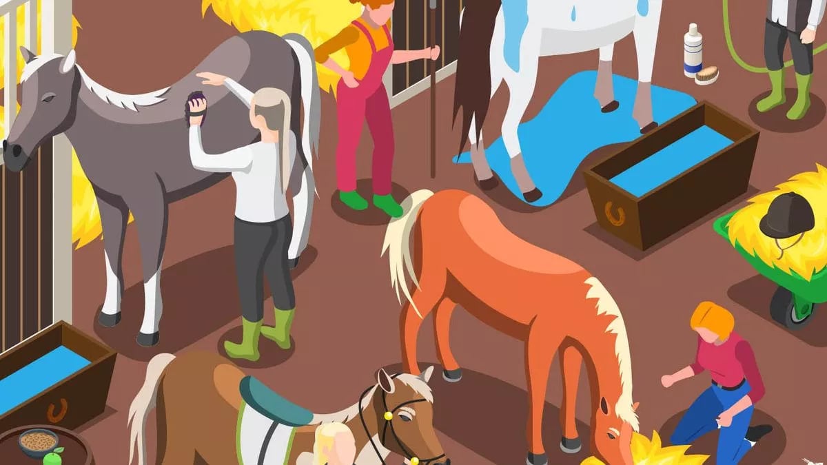 Пъзел, подкова Пъзел, Подкова