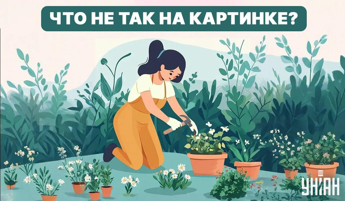 Опитайте се да намерите грешка / Колаж - Moje Опитайте се да откриете грешка / Колаж - Moje