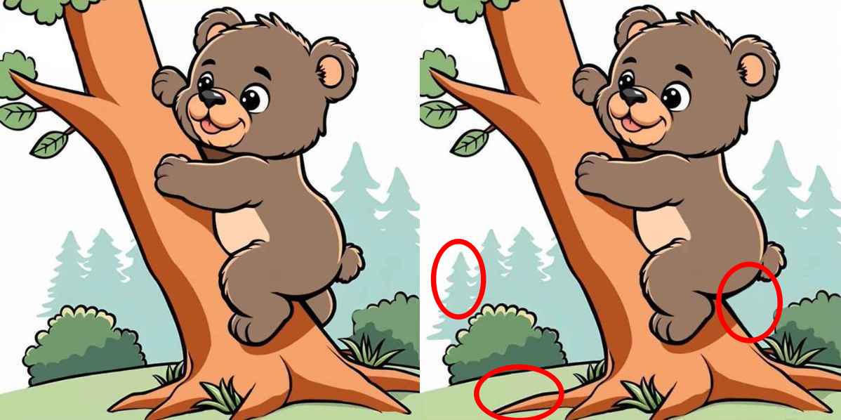 Clue Разгадка