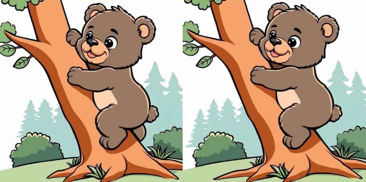 Загадка Загадка