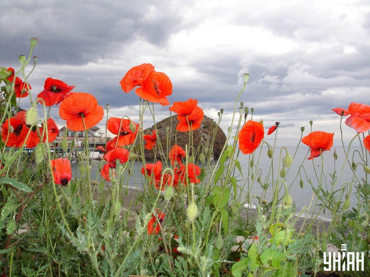 Снимка УНИАН