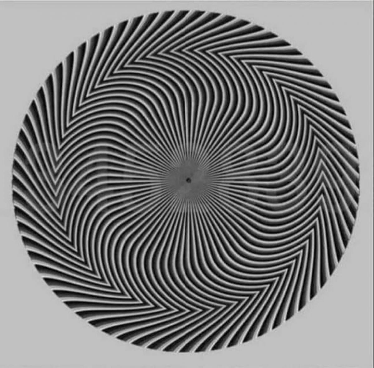 Само умен човек с остро зрение може да открие числата: ефектна оптична илюзия