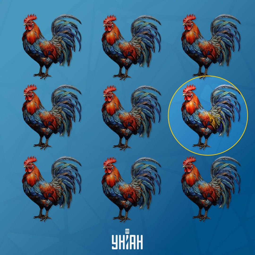 Петелът, който се различава от останалите, беше вляво / колаж Moje