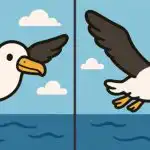 IQ тест: открийте 3 разлики в снимка на летяща птица за 31 секунди IQ тест: открийте 3 разлики в снимка на летяща птица