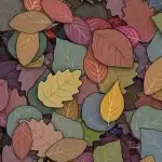 IQ тест за хора с HD зрение: открийте жабата в листата за 6 секунди IQ тест за хора с HD зрение: открийте жабата в