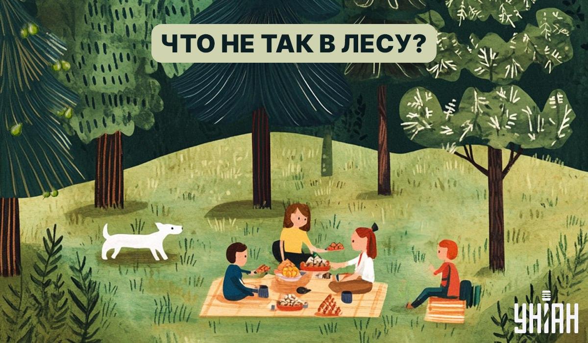 Намиране на буболечка в гората за 5 секунди: бърз тест за проверка на IQ