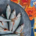 Необходимост от намиране на риба сред котки: забавен пъзел за