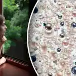 Оптична илюзия за най-внимателните: само гениите ще открият скрития диамант