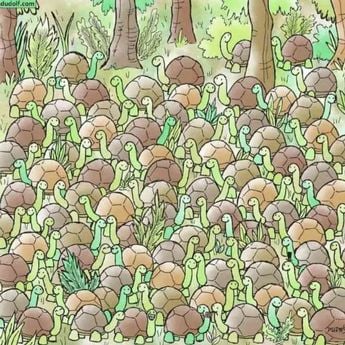 Виждате ли змия сред костенурките? Виждате ли змия сред костенурките?