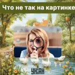 Откриване на груба грешка в снимка за 5 секунди: бърз