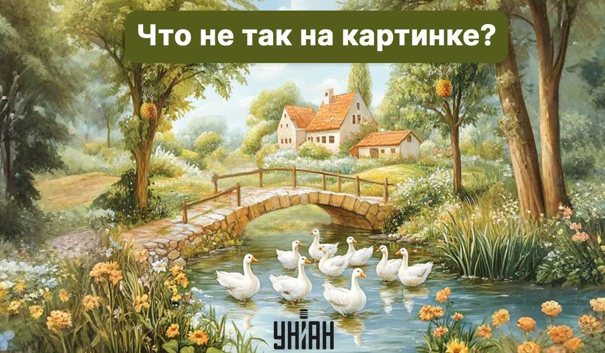 Колаж на Moje