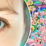 Открийте момичето сред фламингото за 8 секунди: този пъзел ще ви накара да се замислите. Открийте момичето сред фламингото за 8 секунди: този пъзел ще